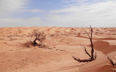 Glazen kas in Tunesische woestijn was bewuste keuze