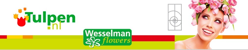 Wesselman flowers