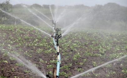 Klimaat en irrigatie